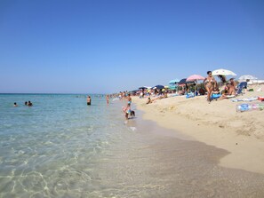 Camastros y toallas de playa 