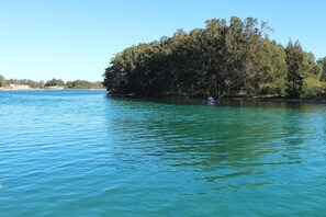 A calm lake with a small island covered in trees. - Wallis View - Lake and Sunset Views (Forster)