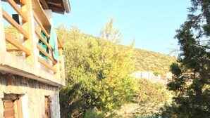 Un estrecho sendero de piedra que lleva a un edificio rústico con una puerta de madera y una pared de piedra.