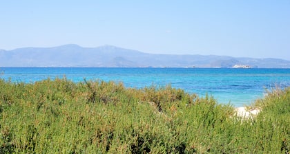 Ein wunderschönes Strandhaus am Strand von Plaka in Naxos, eine Minute vom Strand entfernt