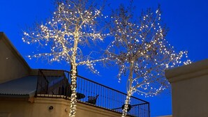 A building with two trees wrapped in string lights.