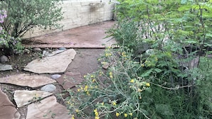 Un jardín con un sendero de piedra, diversas plantas y un muro de concreto al fondo.