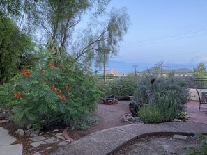 Un giardino con diverse piante e un vialetto lastricato.