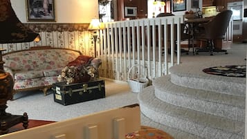 Televisor, llar de foc, reproductor de DVD i llibres