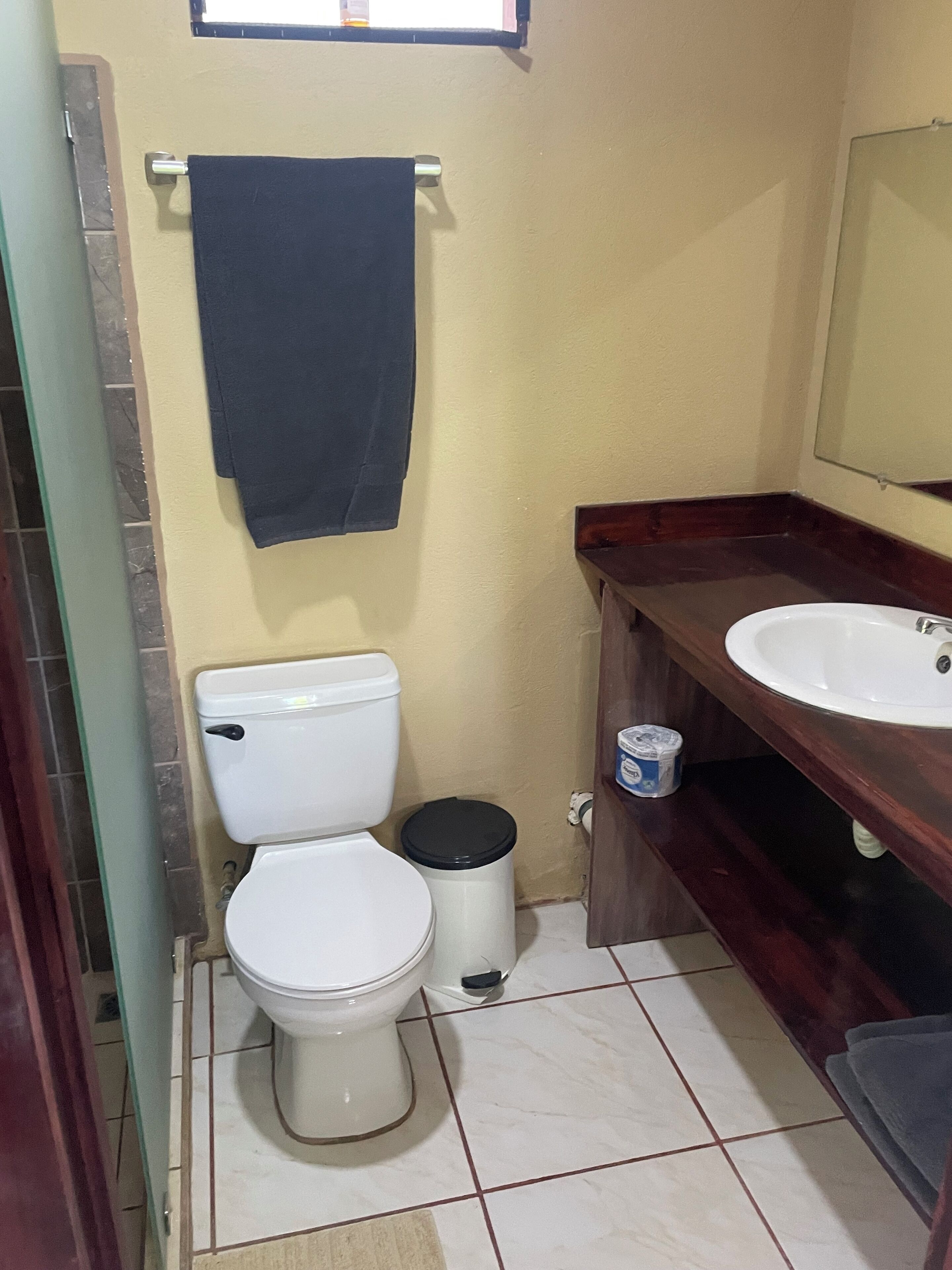 A bathroom with a toilet, a sink, and a mirror.