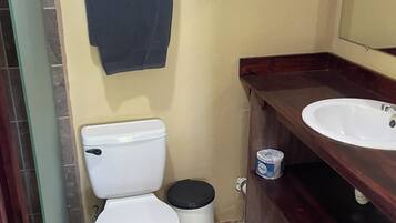 A bathroom with a toilet, a sink, and a mirror.