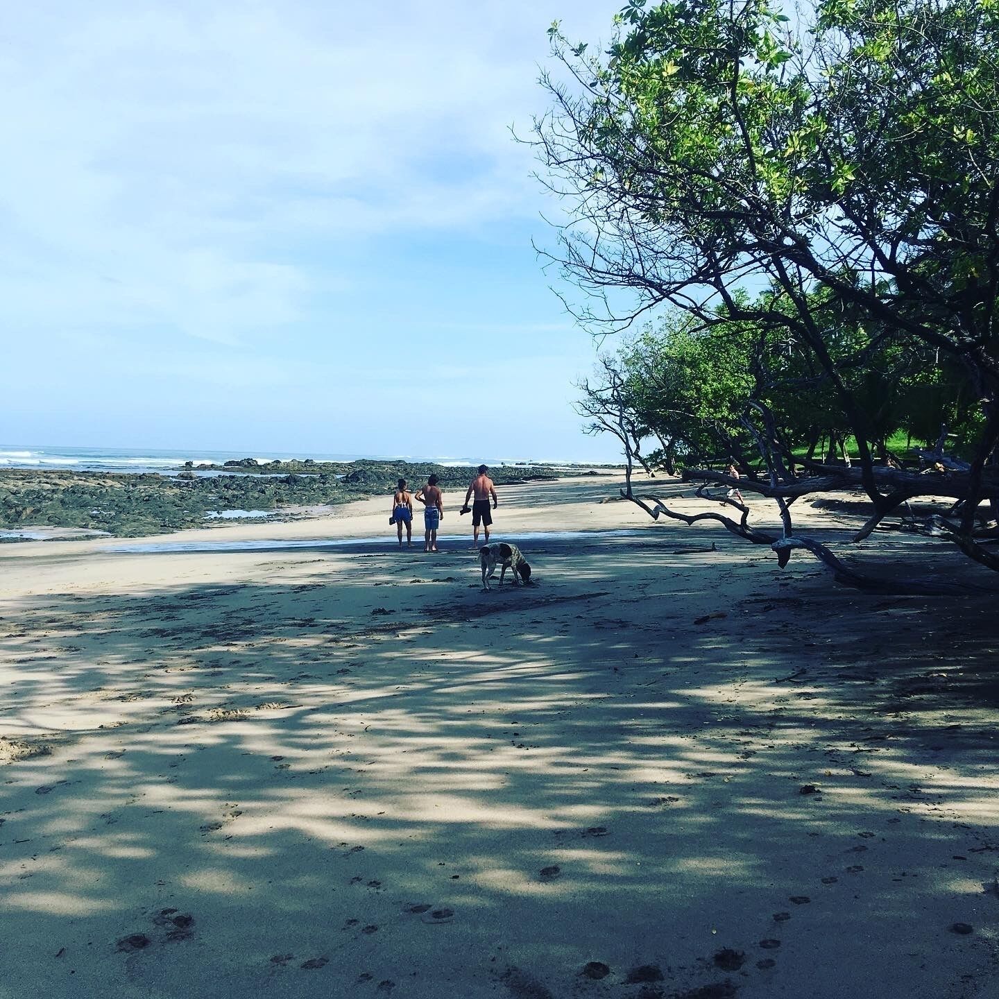 En la playa, camastros y toallas de playa 