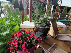 Terrace/patio - Huge Space for 10 +pets Gated 6 cars;15 min walk- B’way; Pickle-ball ct 2bathrms (Nashville)