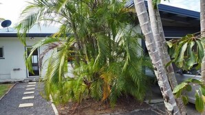A house with a paved driveway and a palm tree in the foreground. - Feather Reef Cottage (Flying Fish Point)