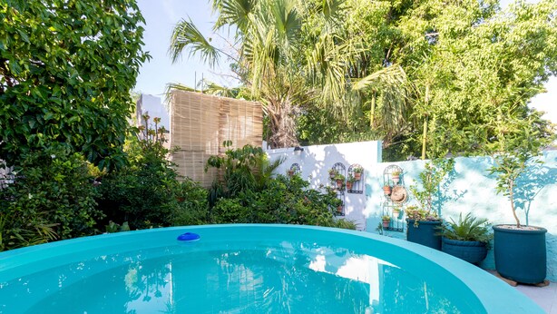 Una piscina rodeada de vegetación exuberante y un muro blanco con plantas en macetas.