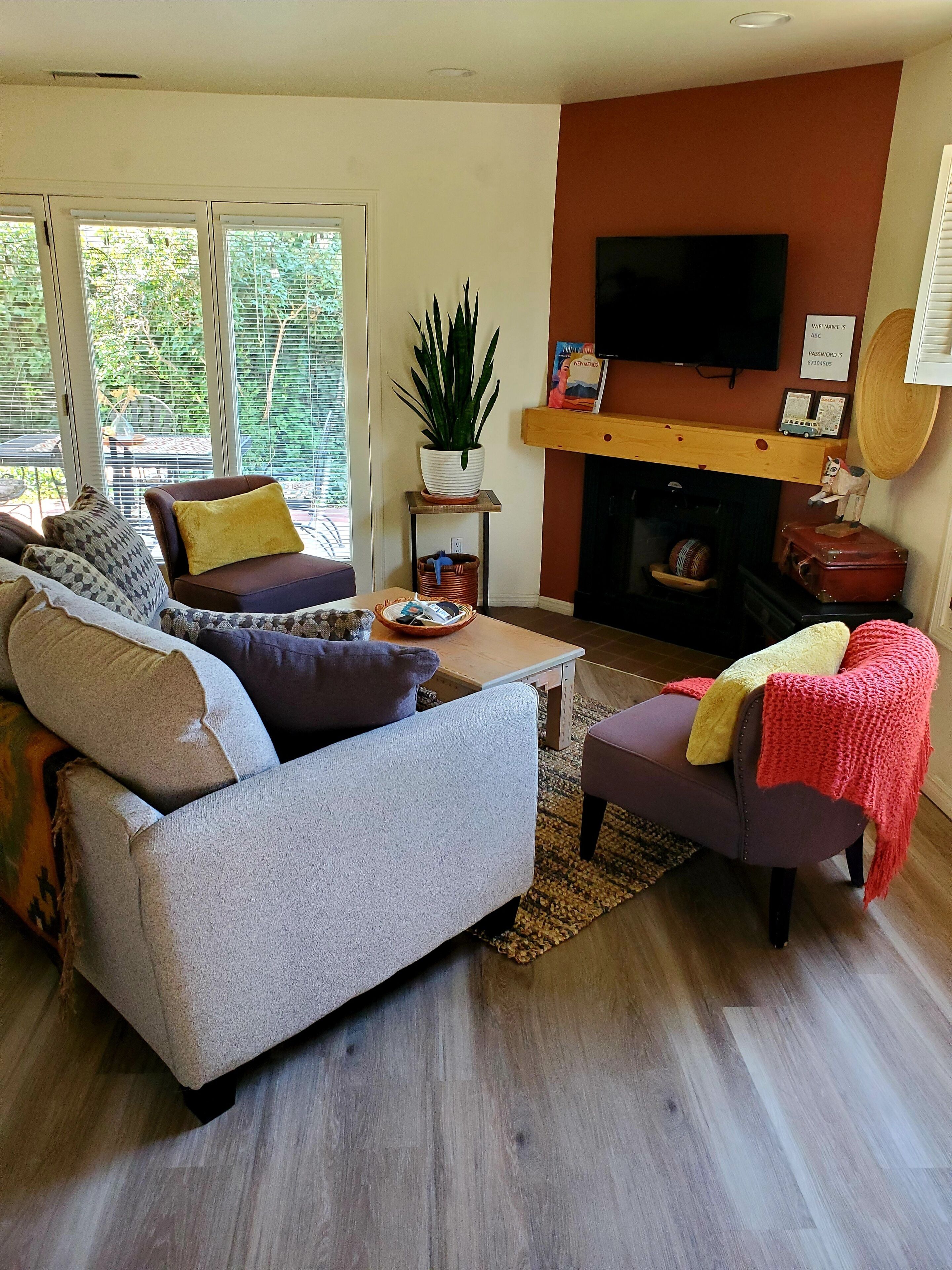 Smart TV, fireplace, books