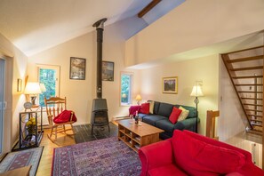 Smart-tv, eldstad, dvd-spelare och böcker