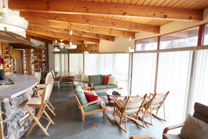 TV, fireplace, DVD player, books