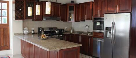 Fridge, oven, stovetop, dishwasher