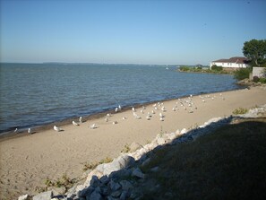 Enjoy a serene beach experience with access to the shore and a nearby rocky embankment.