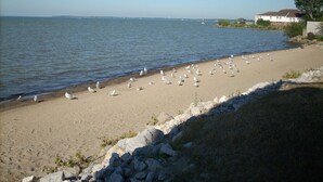 En strand med måger, en klippefyldt kystlinje og en bygning i baggrunden.