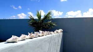 A white wall with a row of seashells and a palm tree against a blue sky. - Villa Valentina Aruba (Noord)