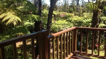 Terrain de l’hébergement