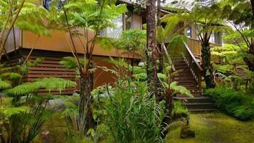 Terrain de l’hébergement