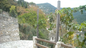 A stone-paved path with a wooden fence, leading to a hillside with buildings and greenery. - Small Detached House Of 60 M2 Situated In Koukourava, Makrinitsa In Pelion Mt. (Μακρινίτσα, Κουκουράβα)