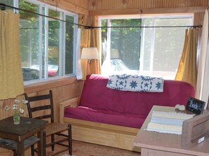 Télévision à écran plat, lecteur de DVD, livres, vidéothèque