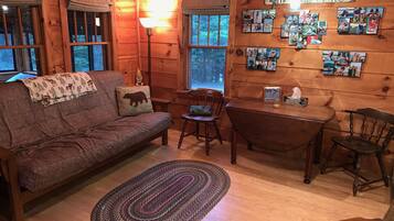 Flat-screen TV, DVD player, books, video library