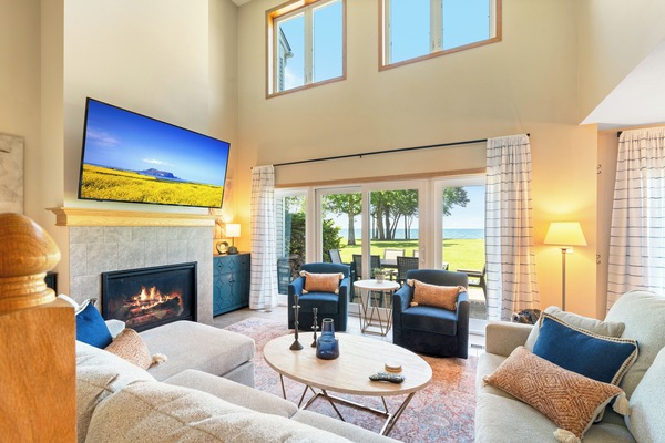 Smart TV, fireplace, DVD player, video library