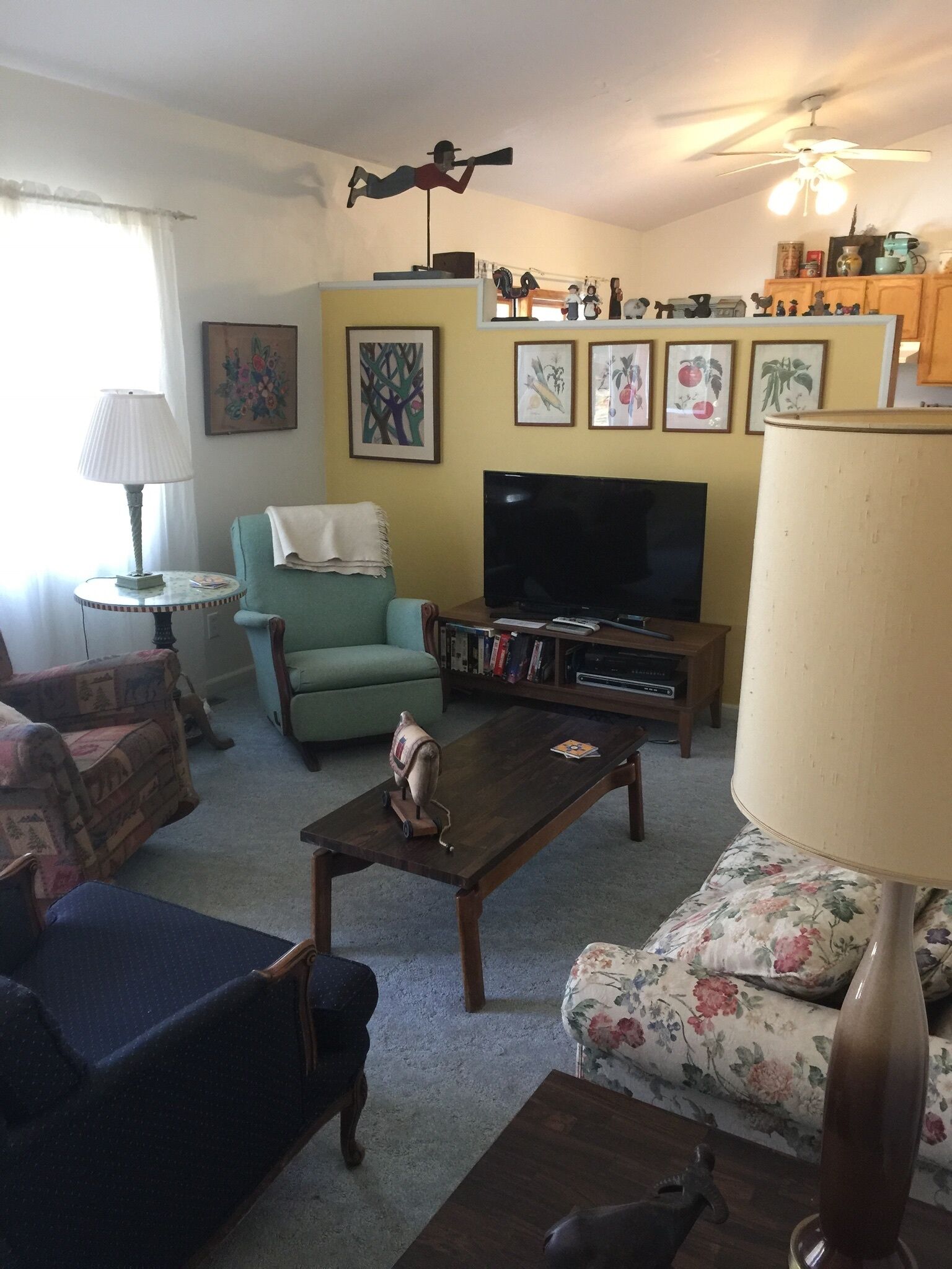 Smart TV, DVD player, books, video library