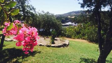 Áreas de la propiedad