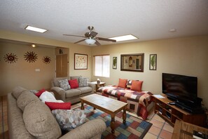 TV, caminetto, lettore DVD, videoteca