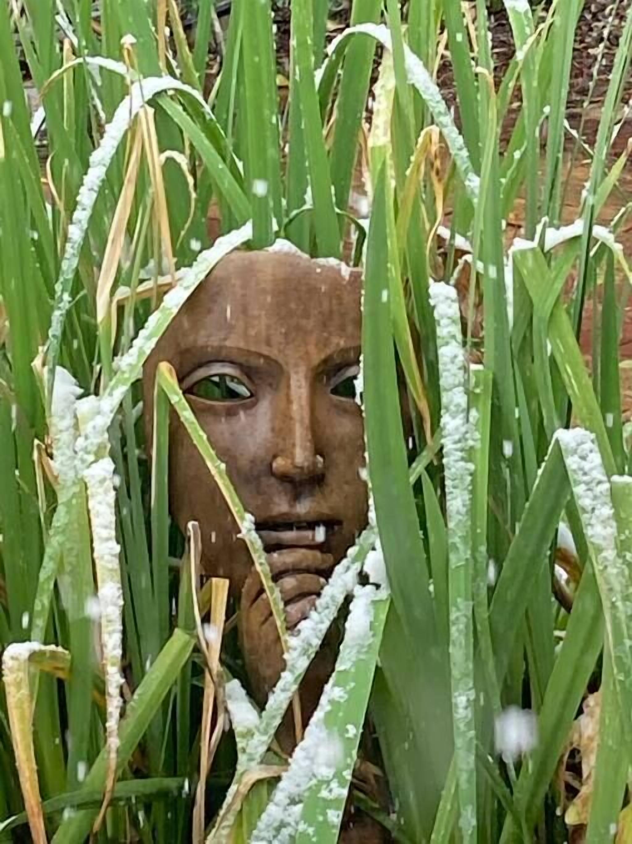 A sculpture partially obscured by tall grass.