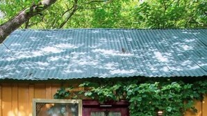 Een houten huis met een rode deur, een groen dak en een klein portaaltje.