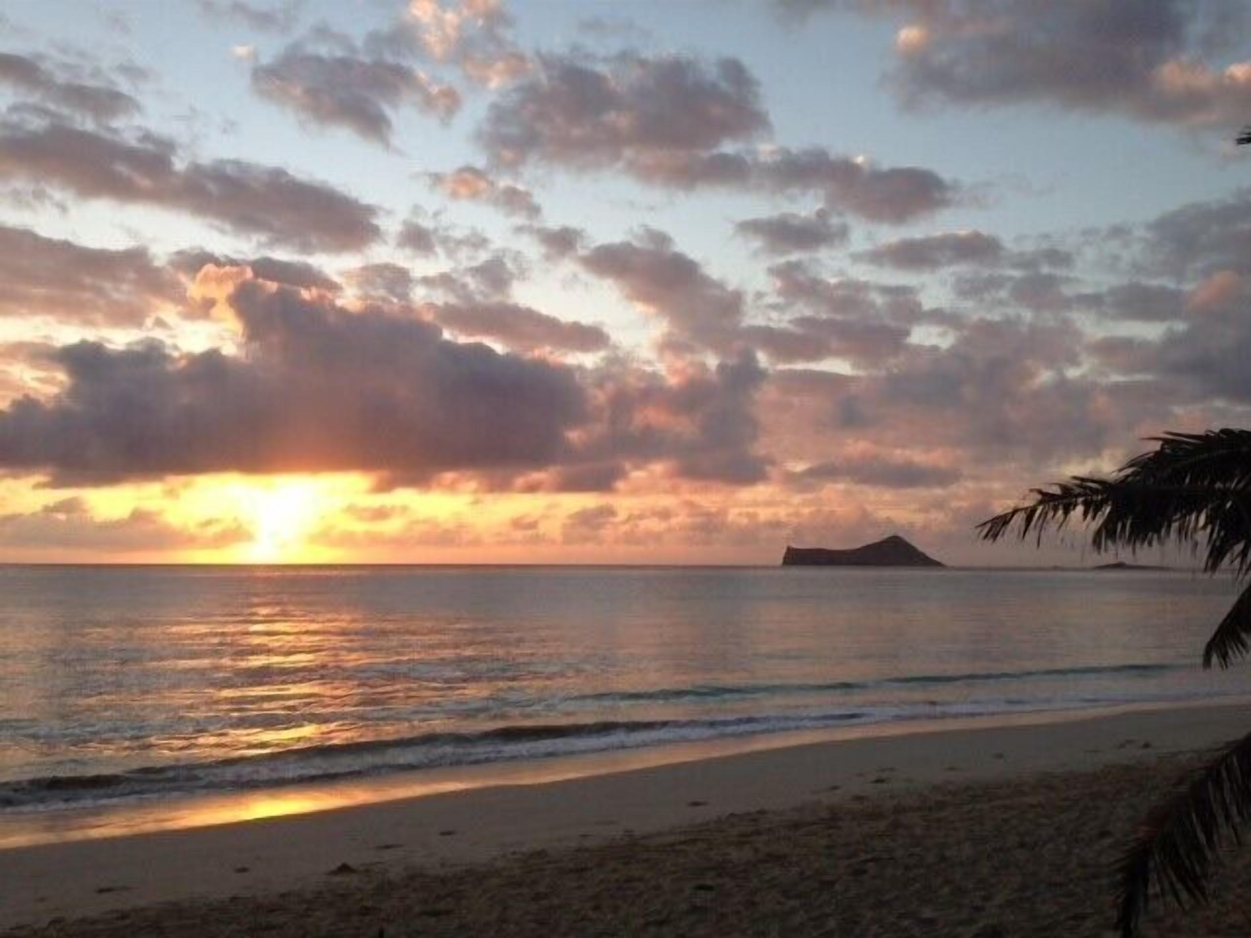 Beachfront beauty 🌄🌅