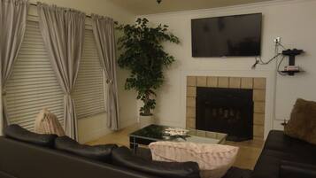 Smart TV, chimenea, reproductor de DVD y videoteca