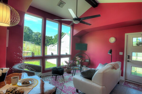 Smart TV, fireplace, DVD player, books
