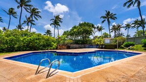 Ein rechteckiger Swimmingpool mit gefliestem Sonnendeck, umgeben von Palmen und Grünpflanzen.