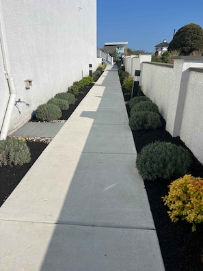 Stroll along the well-maintained pathway, lined with neatly trimmed hedges and shrubs, towards a residential area.