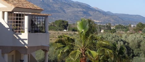 A white building with a tiled roof and large windows, overlooking a mountainous landscape and palm trees.