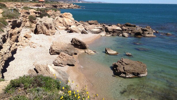 Un littoral rocheux bordé d’une eau claire, une chaîne de montagnes lointaine et une végétation clairsemée.