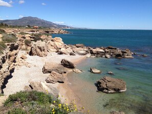 A rocky shoreline with clear water, a distant mountain range, and sparse vegetation.