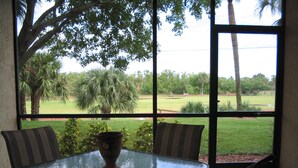 A glass-top table with chairs, a potted plant, and a view of a grassy area with trees.
