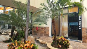 Een Starbucks met een moderne gevel, een stenen muur en een verzorgd buitengebied met palmbomen en planten.