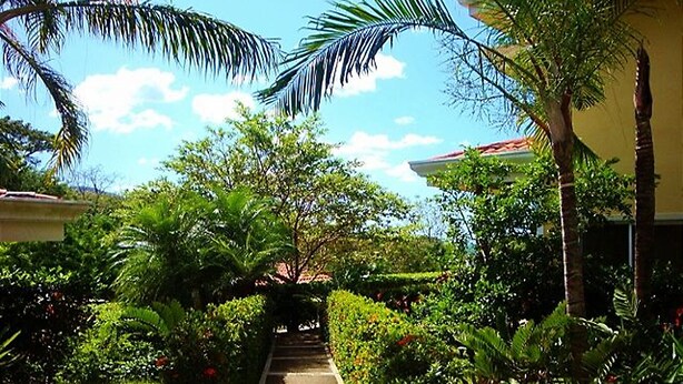 A pathway leading through a lush garden with various tropical plants and palm trees. - Fabulous Spacious Villa Only Steps Away from the Beach!  (Playa Hermosa)