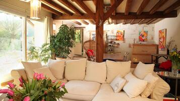 Smart-tv, een open haard, een dvd-speler en boeken