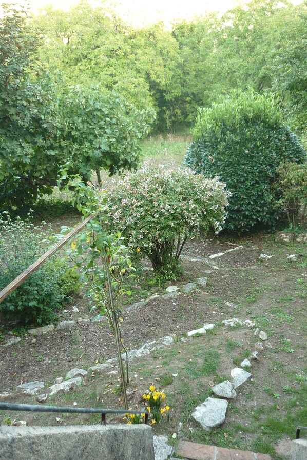A garden with a variety of plants and a stone pathway. - Beautiful cottage in Most Beautiful Village (Belvès)