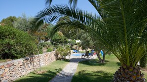 A stone pathway leading to a pool area surrounded by lush greenery and palm trees. - A Charming Spanish Villa, Just Perfect for your Mijas Vacation (Mijas)