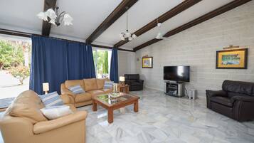 TV connectée, cheminée, lecteur de DVD, chaîne hi-fi