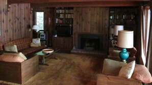 A cozy cabin interior with a wooden interior, a fireplace, a television, and a bookshelf. - Spectacular Location  Reasonably Priced (Belgrade)