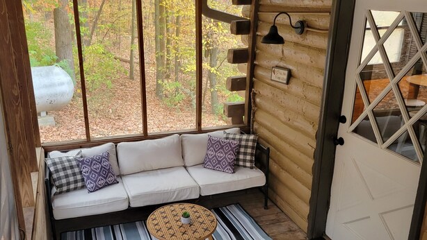 A log cabin with a sofa and cushions, a window with a view of trees, and a small table with a plant.