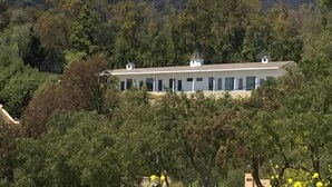 A building with a flat roof, surrounded by dense trees and hills in the background. - Malibu Getaway-Relaxation Destination-Ocean view-Beaches, Hiking, Shops, Dining (Malibu)